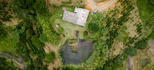 Behind the Colombia Nursery Project